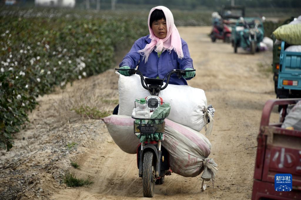 威尼斯人线路